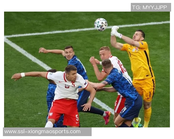 斯洛伐克足球队最新国际排名分析及未来发展展望